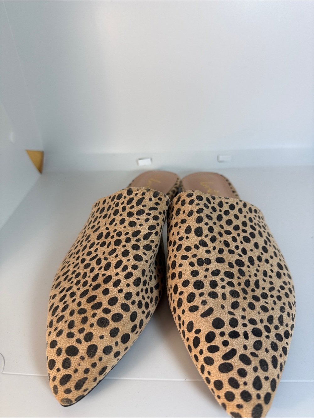 Leopard-Print Pointed Toe Slip-On Mules in Tan and Black